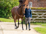 HC240925-54 - Rousham